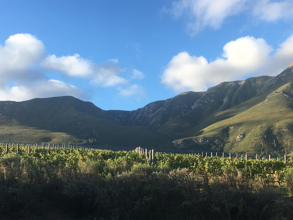 Misty Mountains Villa Hermanus Exterior foto